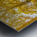 Waywoods  Metal print