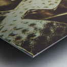 Spartan 300 Metal print