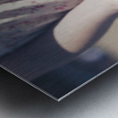 Hands Holding Large Seashell Metal print