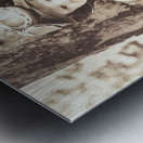 ww2 wingman holding the forte Metal print