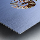 Outback Australian farm mill Metal print