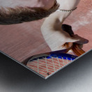 Tennis Player Tantrum Metal print