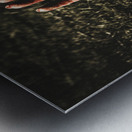 Zombie rising from a shallow grave Metal print