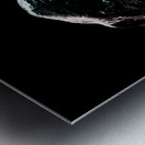 Shark attack Metal print