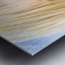 Summer Secrecy Metal print