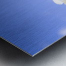 Beautiful white frangipani flowers Metal print