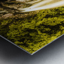 Spring falls Metal print