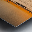 Morning Tide Metal print