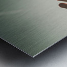 Near death experiences Metal print