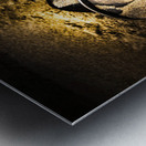 Apocalyptic terror Metal print