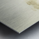 Rustic Tasmanian rural forest Metal print