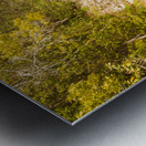 Scenic forest falls Metal print