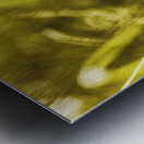 Jungle butterfly Metal print