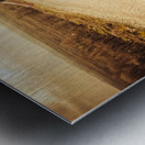 Facing fears while taking chances Metal print