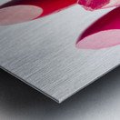 Colourful cosmetic still life Metal print