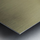 View of abandoned country road in foggy forest Metal print