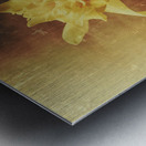 Vintage daffodil flower art Metal print