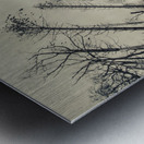Haunting wood Metal print