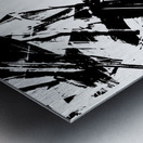 Feathermentary  Metal print