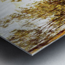 Easely lead  Metal print