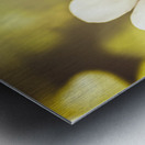 Pale wildflowers Metal print