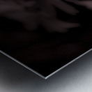 Field Of Daisies Metal print