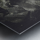 Setting the stage Metal print