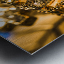 A royal engagement Metal print