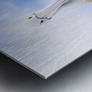 Peace And Balance Metal print