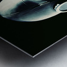 Before The Fall Metal print