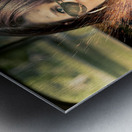 Electric Shock Metal print