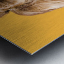 A motion of colours Metal print