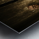 Country luck Metal print