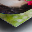 Woman With Red Roses Metal print