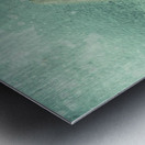 Cryonics awakening Metal print