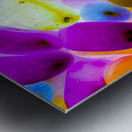 Jellybean X-Ray Metal print