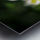 Blooming Flora Metal print