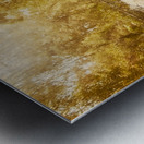 Wonder Fall Metal print