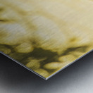 River Vista views Metal print