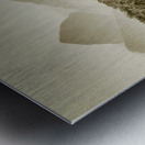 Glass House Mountains Metal print