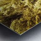 Canopy crossing Metal print