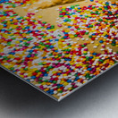 One Thousand Apologies Metal print