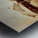 Natures pecking order Metal print