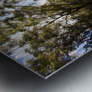 Forestry road landscape Metal print