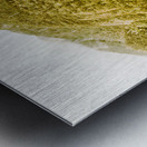 Edge of Wilderness Metal print