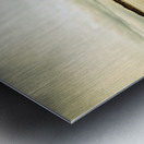 Beach panorama of a sunrise over the sea Metal print