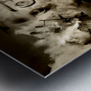 Dog Fights At Giant Heights Metal print