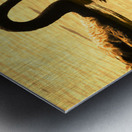 Duck Duck Swan Metal print