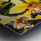 Exotic orchids  Metal print