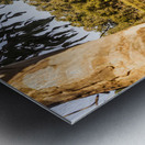 Lake wonders Metal print